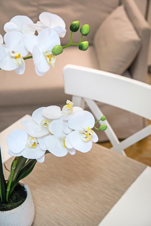 Veneziacentopercento Alle Ancore Apartment Dış mekan fotoğraf